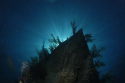 Bond Wreck Nikon d-70s Sea & Sea Housing by David Schmidt 
